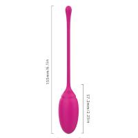 Censan Rose 6'lı Kegel Egzersiz Topu