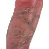 Censan Dolgulu Testis Geçmeli Penis Kılıfı Model no: S8100