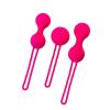 Censan Redvil Kegel Vajinal Top Seti Pembe 16,5 cm