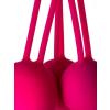 Censan Redvil Kegel Vajinal Top Seti Pembe 16,5 cm