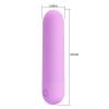 Censan Stefan Mini Massager Bullet Vibratör Mor